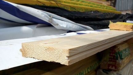 Европол из Хвои (шип-паз)