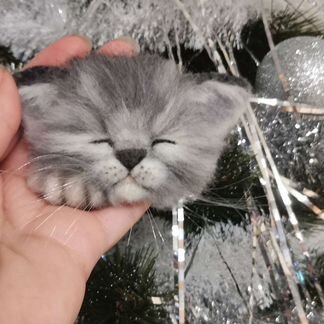 Брошка котенок