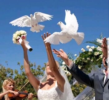 Автомобиль на Свадьбу по Вашей схеме маршрута. Дог