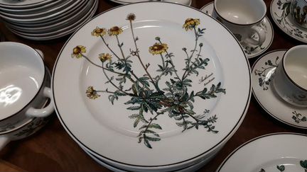 Тарелки из сервиза Ботаника Villeroy&Boch