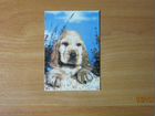 Календарики Собаки - 33 шт объявление продам