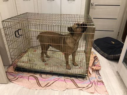 Клетка для крупной собаки